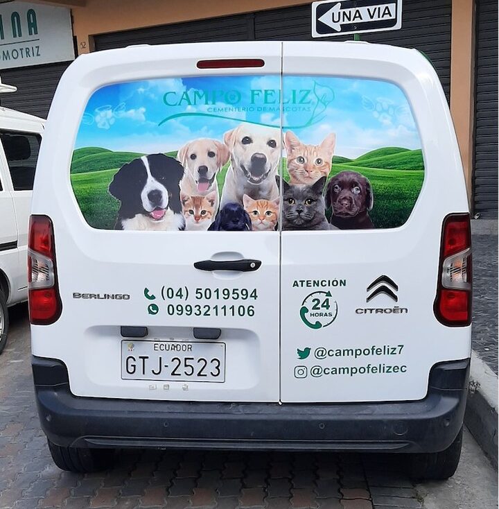decoración carry con microperforado