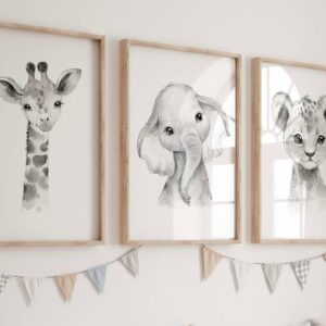 cuadros animales safari